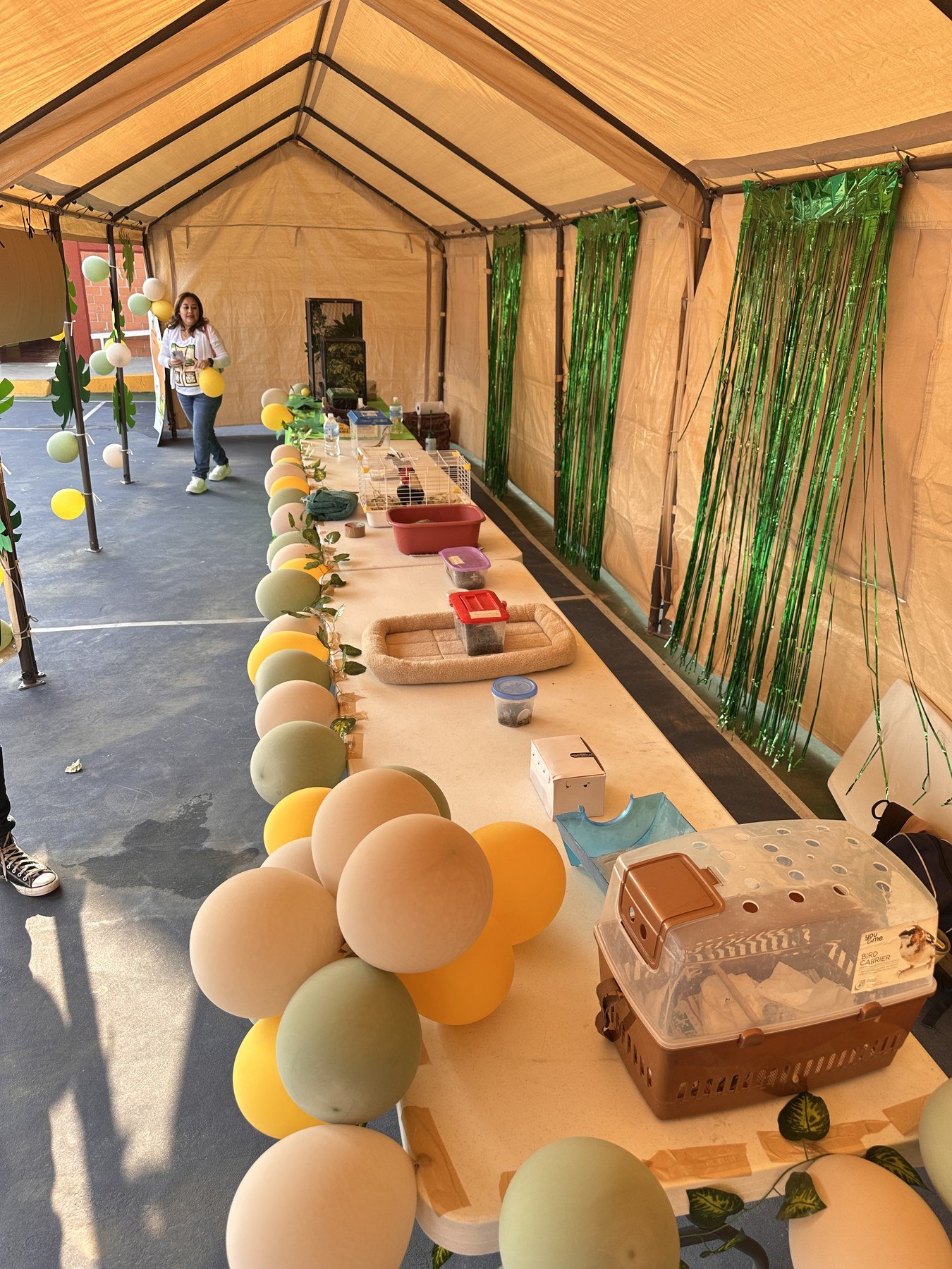 Montaje de las estaciones con ejemplares y materiales educativos para la jornada escolar en el Colegio Tepeyac