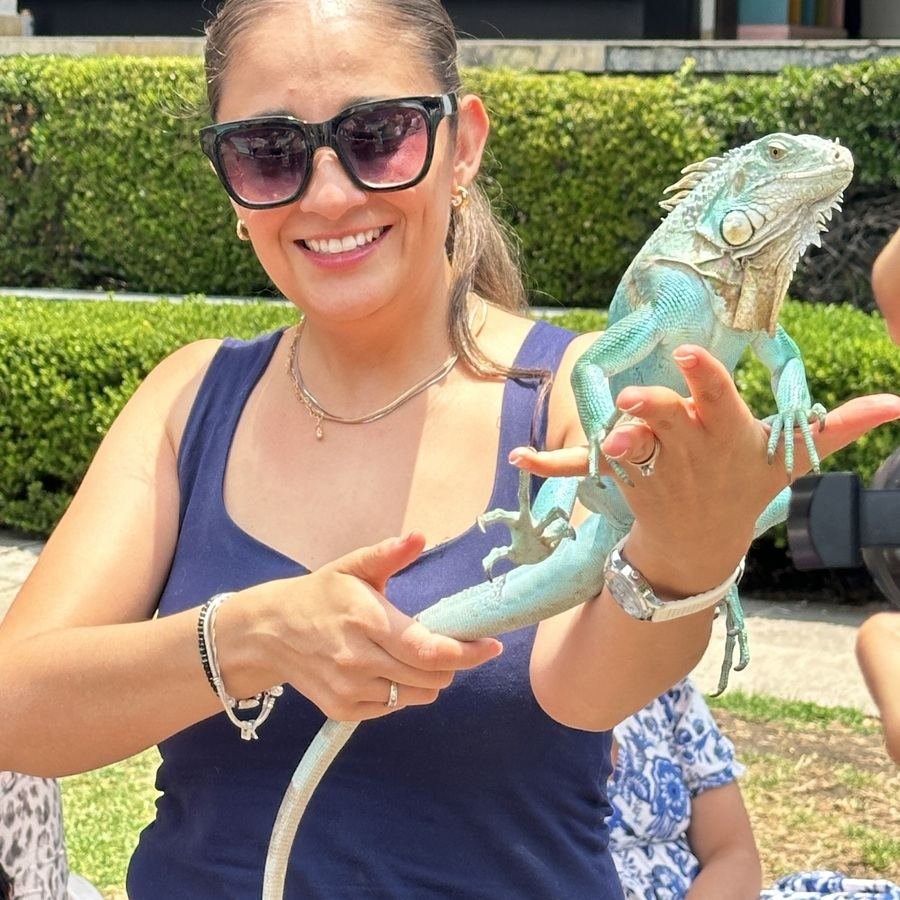 Iguana azul sostenida durante una experiencia de Ecozoo Party