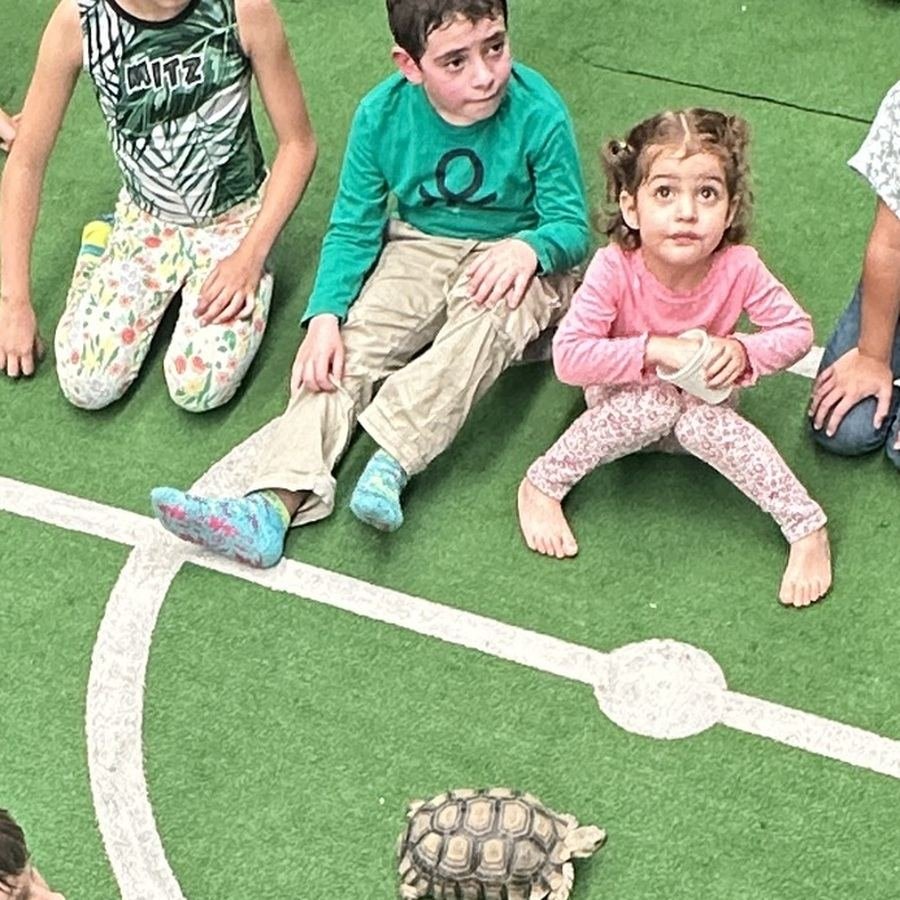 Tortuga sulcata caminando en el centro del circulo de una experiencia Ecozoo Party