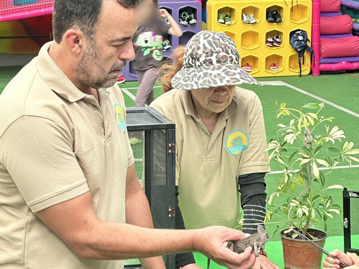 Equipo de Ecozooo Party maneja un insecto palo durante una experiencia educativa