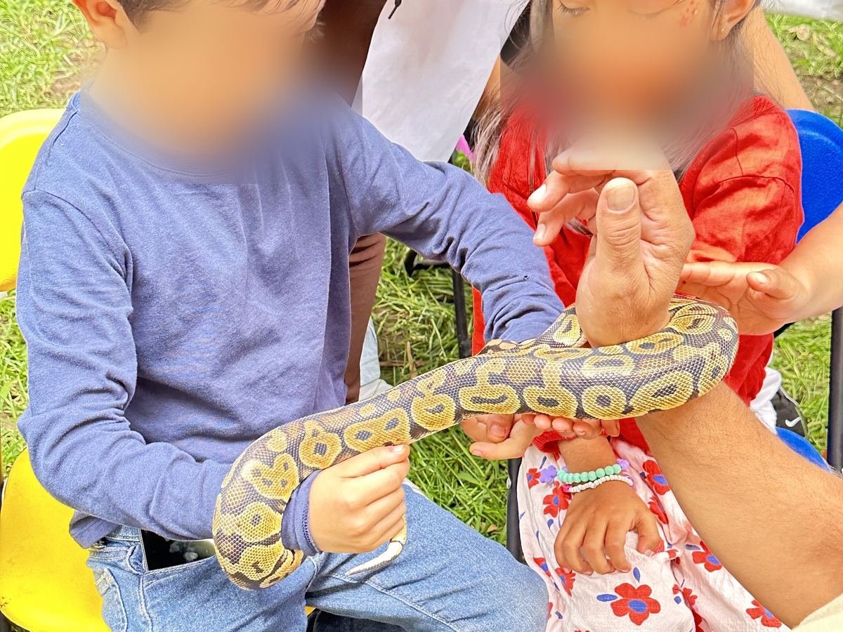 Dos niños sostienen juntos una pitón bola en una fiesta infantil en CDMX