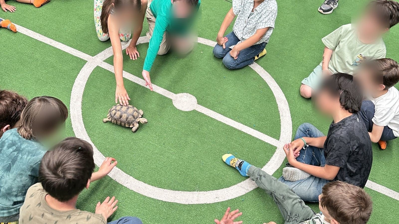 Alumnos participan en un taller de educación ambiental de Ecozooo Party observando una tortuga