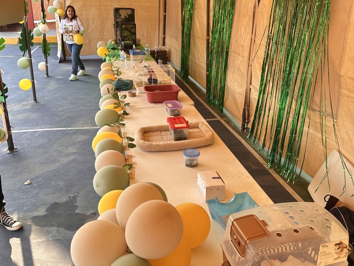 Montaje interior de una estación educativa de Ecozooo Party