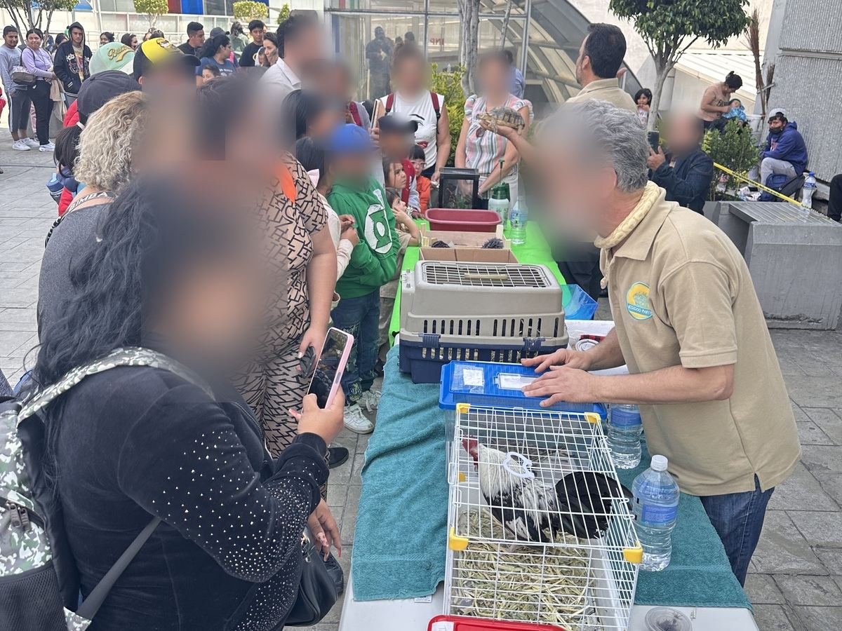 Asistentes observan una estación de educación ambiental con animales de Ecozooo Party