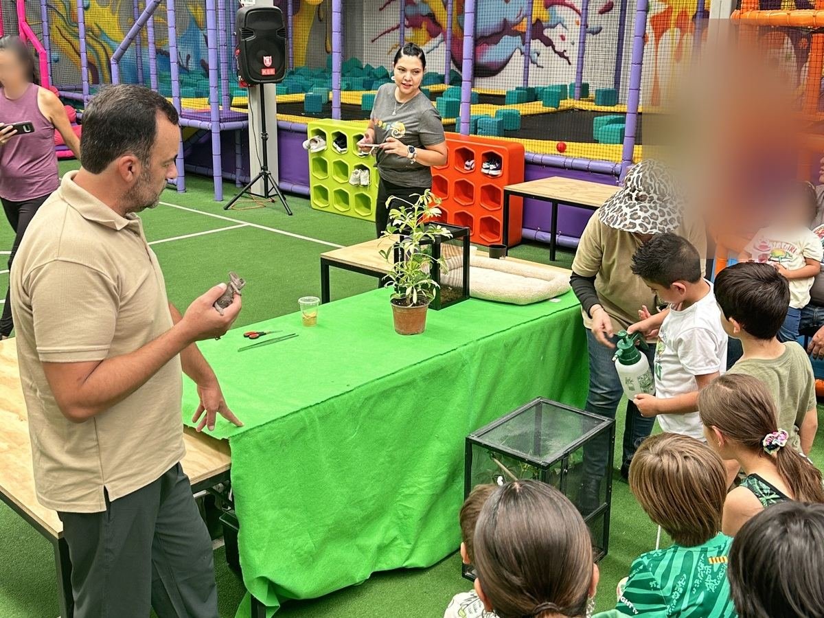 Especialista de Ecozooo Party presenta un insecto palo en un evento en salon