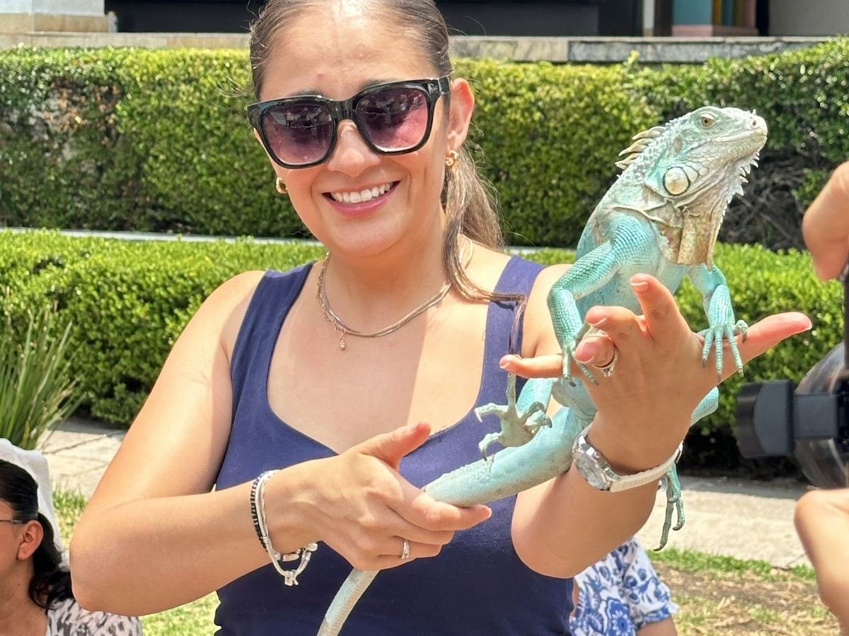 Asistente adulta sostiene una iguana azul durante un evento familiar de Ecozooo Party