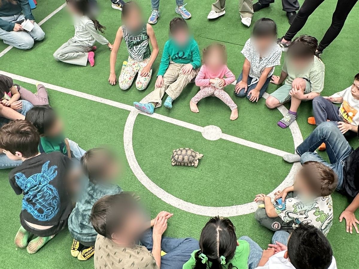 Niños sentados en círculo alrededor de una tortuga sulcata durante una experiencia Ecozooo Party