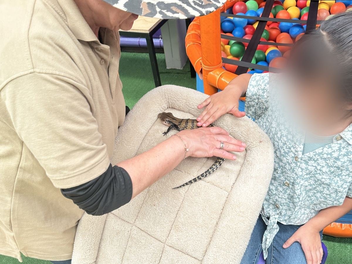 Especialista de Ecozooo Party acompaña a una niña durante una interacción guiada
