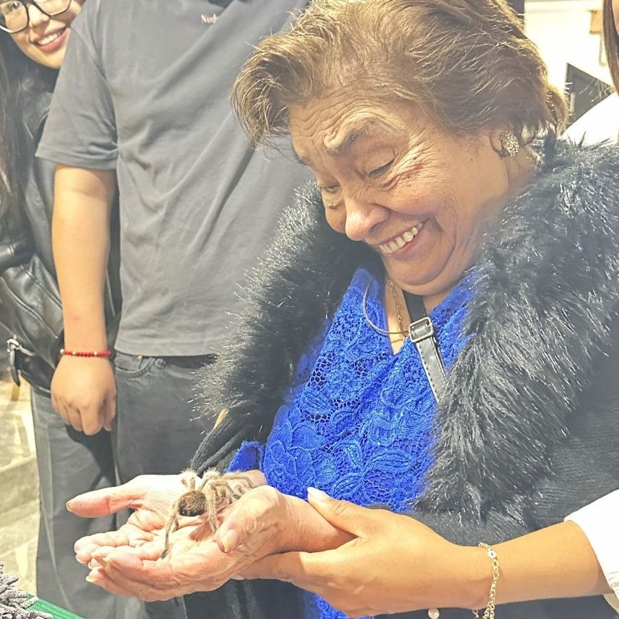 Asistente adulta sostiene una tarántula durante una experiencia de Ecozooo Party