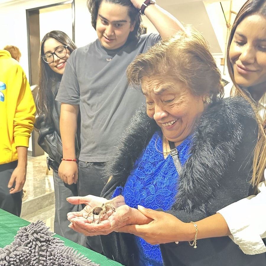 Asistente adulta observa una tarántula durante una experiencia de Ecozooo Party