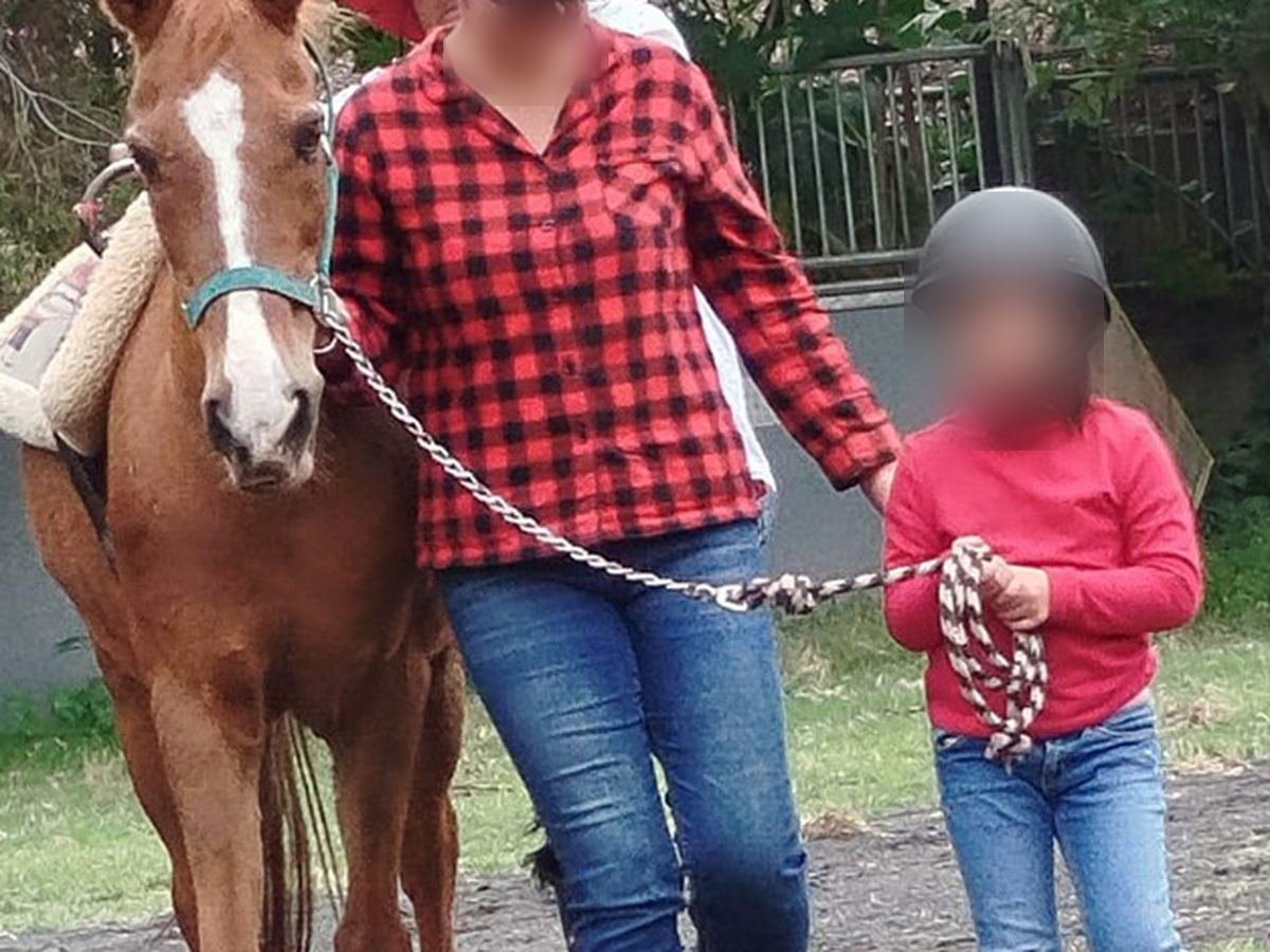 Caballo del Paquete del Oeste de Ecozooo Party